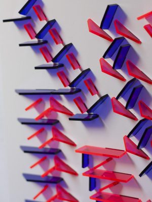 Paiasajes Transparentes (9)