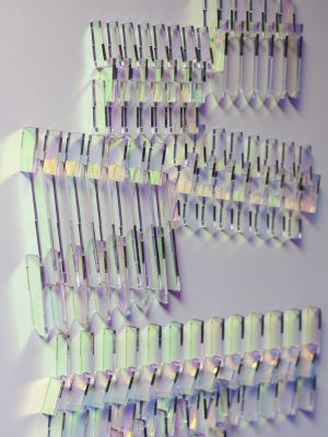 Paisajes Transparentes (5)